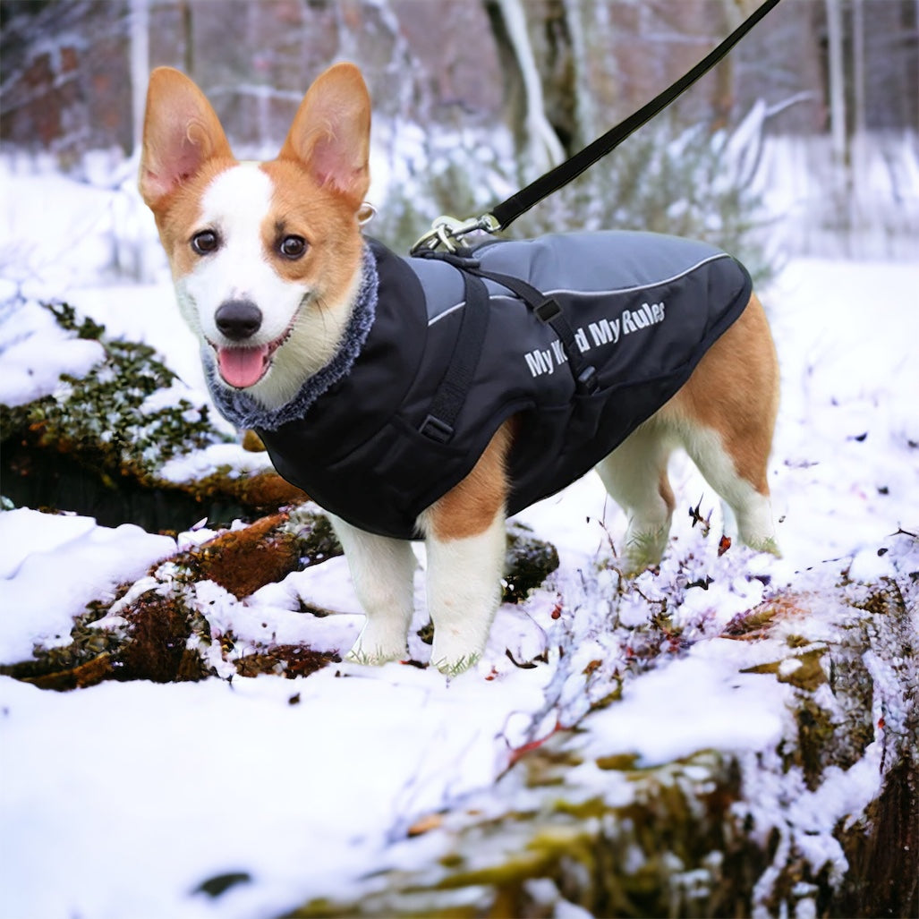 Vinterdekken til hund med refleks og integrert sele