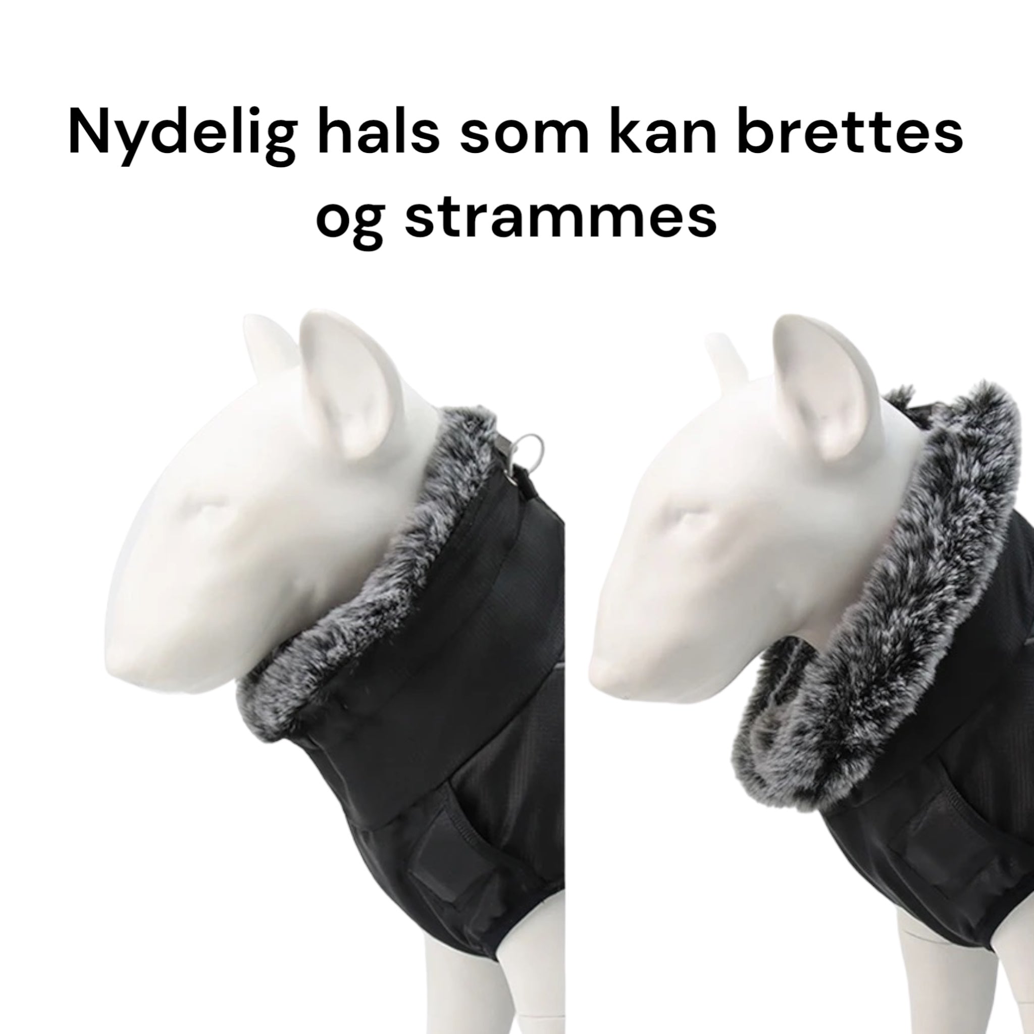 Vinterdekken til hund med refleks og integrert sele
