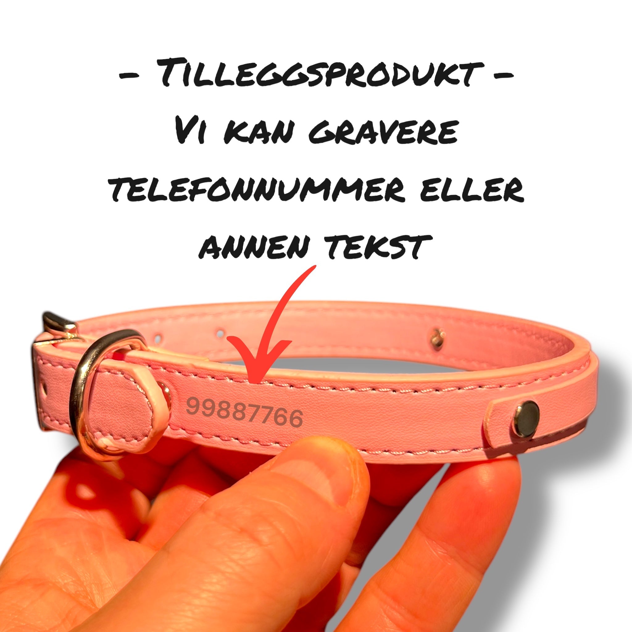 Halsbånd med navn og rhinstein – personlig halsbånd til hund og katt