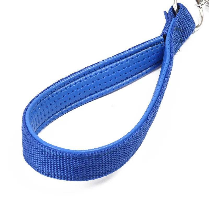 Kort støtdempende hundebånd – elastisk kobbel 45 cm