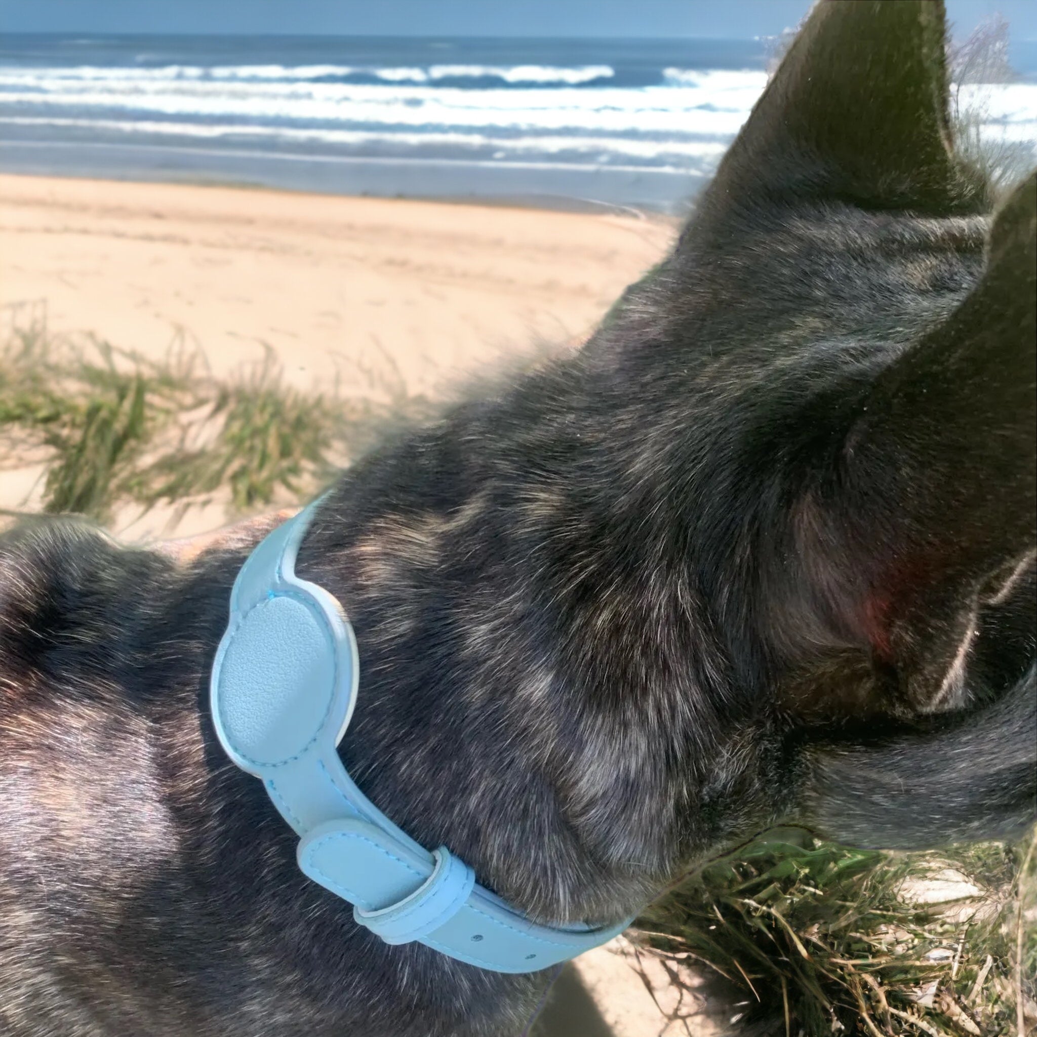 Halsbånd med navn og AirTag-holder – kunstlær til hund og katt