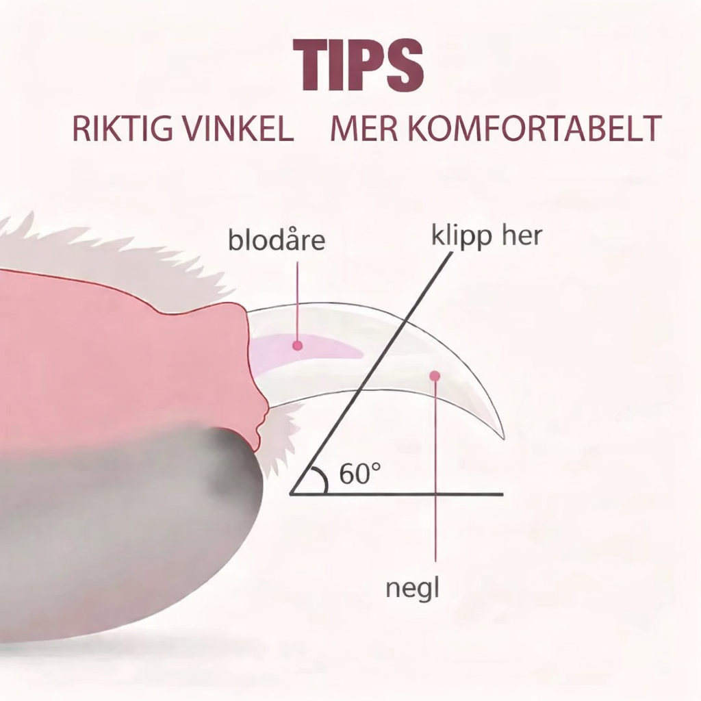 Kloklipper med lys til hund og katt