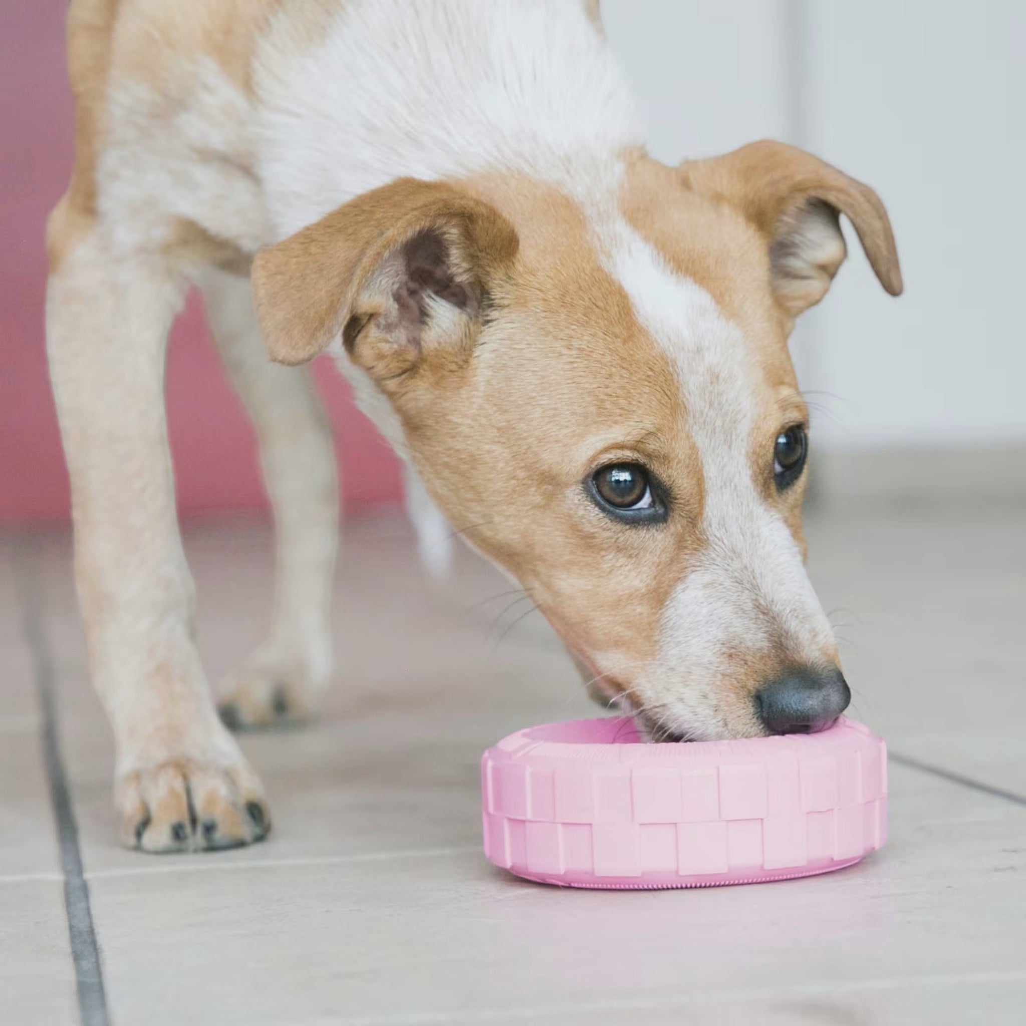 KONG Puppy Tires S – tyggeleke til valp