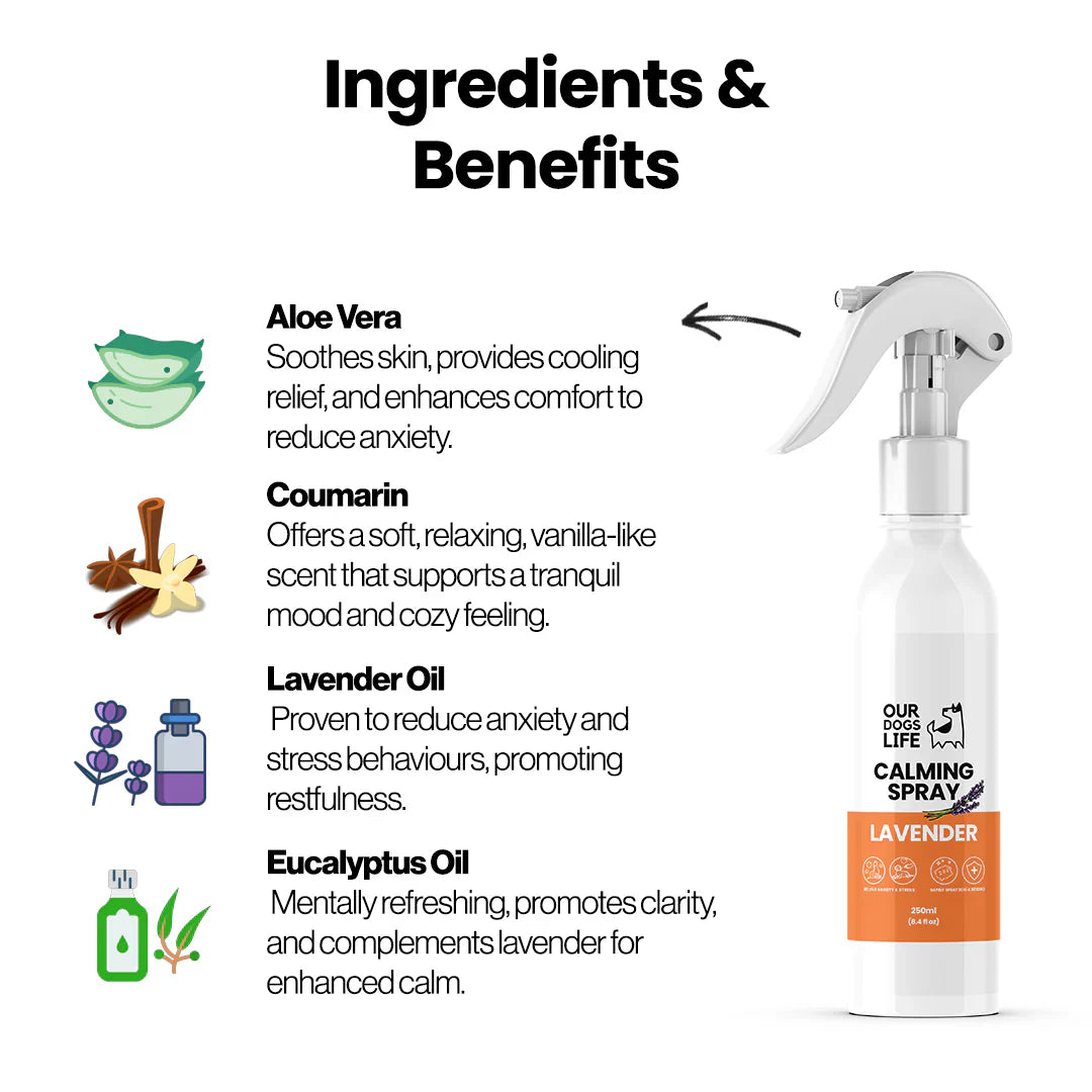 Beroligende spray til hund – OurPetsLife 250 ml