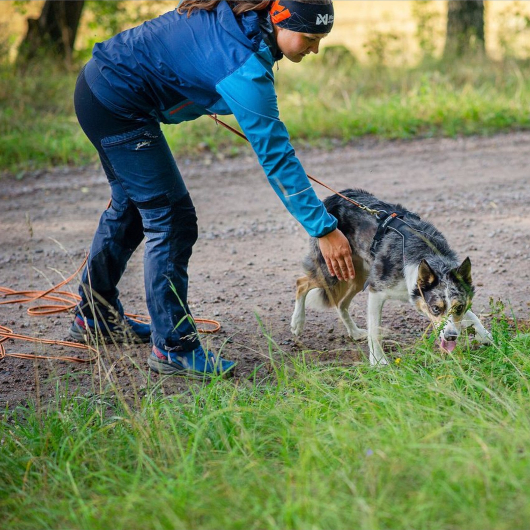 Non-stop Line Harness 5.0 – allsidig hundesele til tur og spor