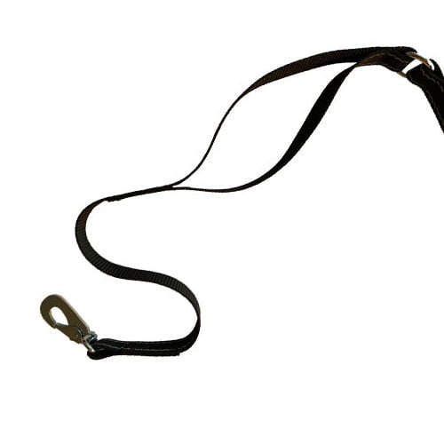 MR-kobbel – Robust joggekobbel til hund