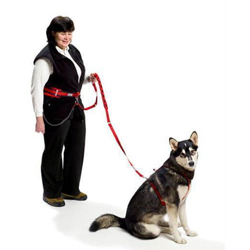 MR-kobbel – Robust joggekobbel til hund