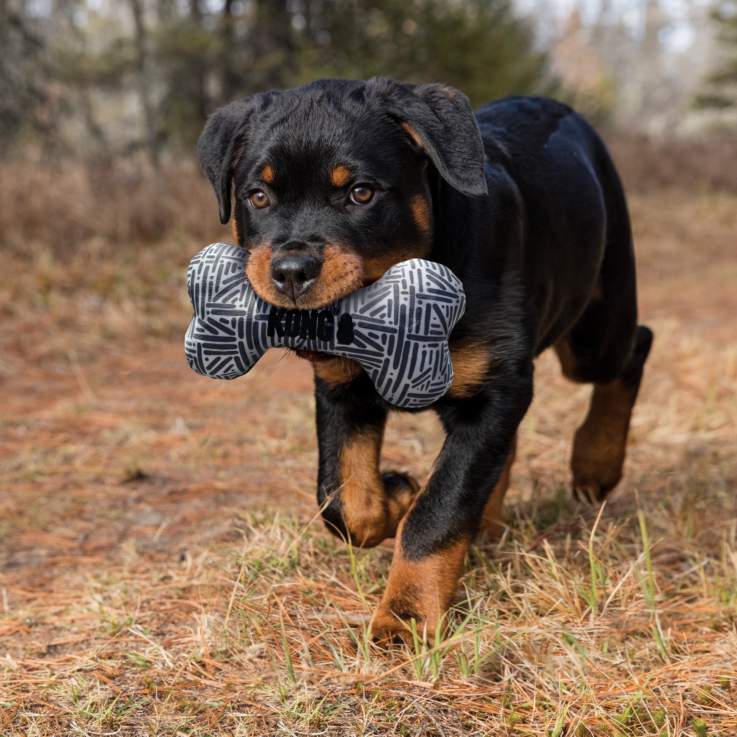KONG Maxx Bone – slitesterk hundeleke med pipelyd