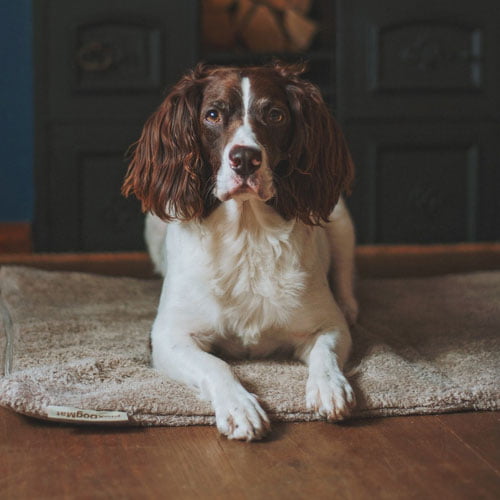 FlexDog – Siccaro tørkematte