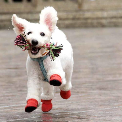 Myke Vintersko til små hunder - Brun
