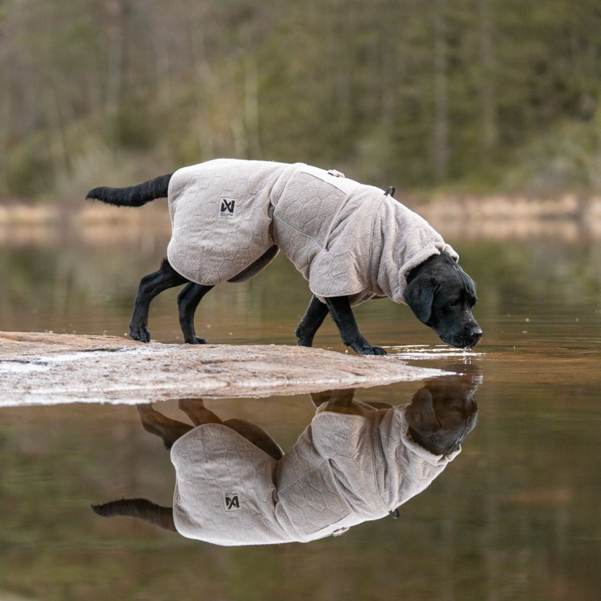 Tørkedekken til hund – Non-stop Drying Coat