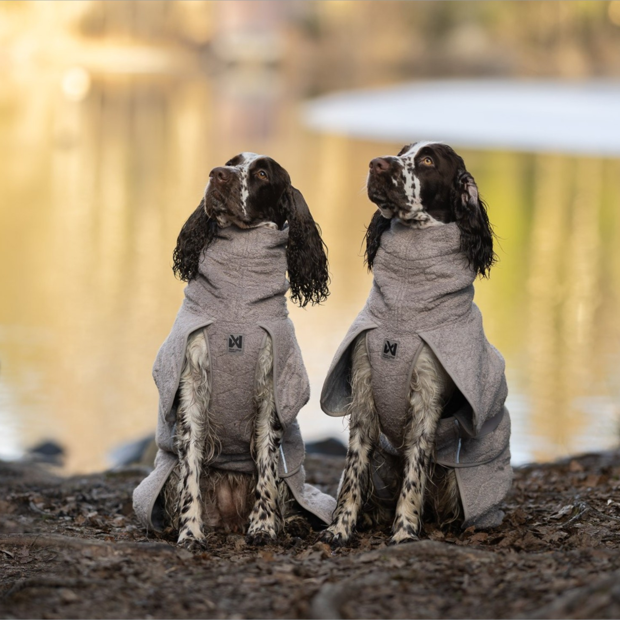 Tørkedekken til hund – Non-stop Drying Coat