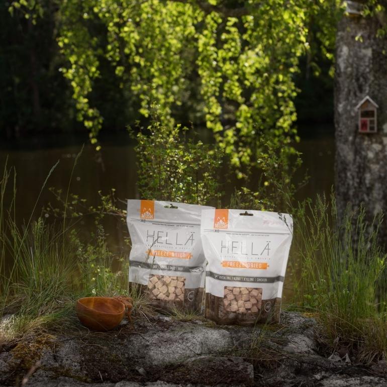 MUSH Hellä med kylling og med storfe på en stein i skogen.