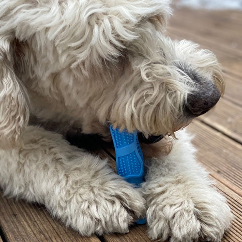 Tannbørste stick blå