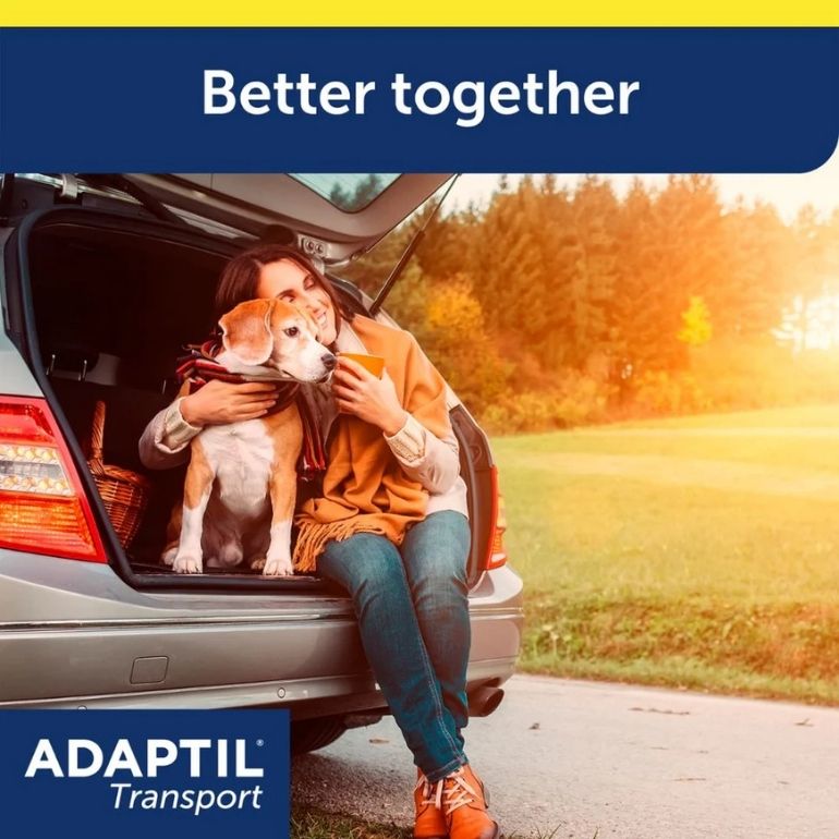 Kvinne og hund sitter i bagasjerommet på en bil og klemmer. Over bilde er teksten "Better Together".