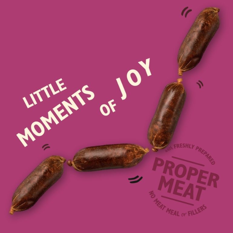 Bilde av en pølser på en snor med teksten little moments of joy.