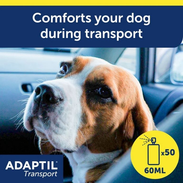 Hund sitter i framsetet av en bil og ser bakover på fotografen. Over bilde er teksten "Comforts your dog during transport".