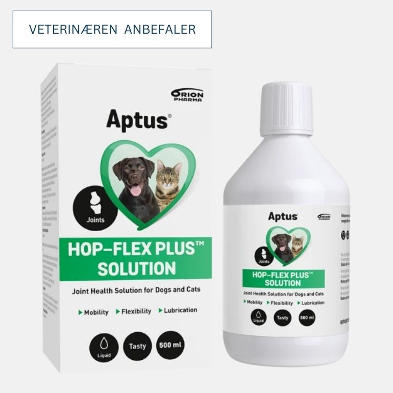 Produktbilde av Aptus Hop-Flex Plus Solution. Flasken ved siden av pakken.
