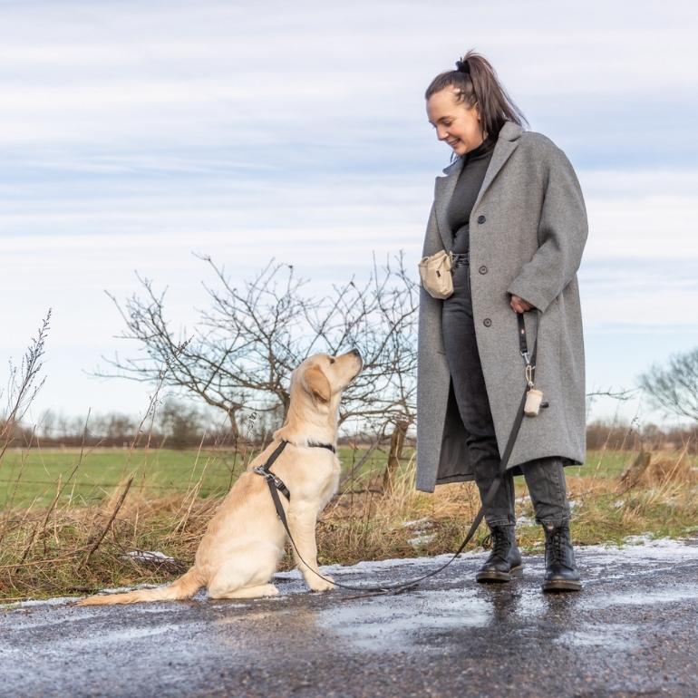 Kvinne dresserer hund med godbitepose til hund på hoften.