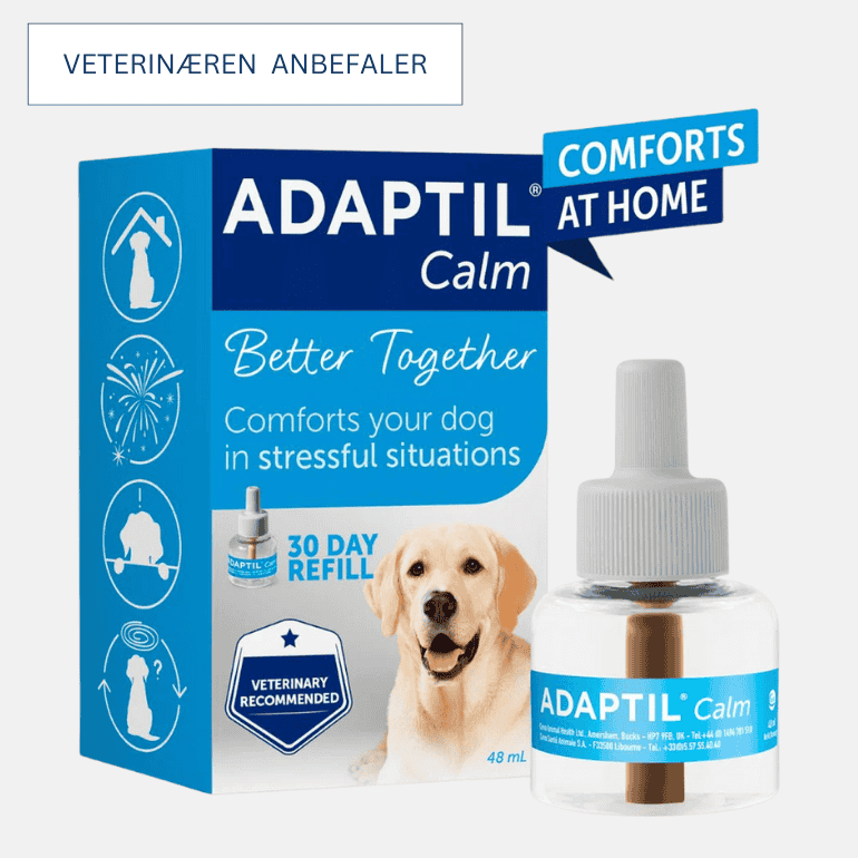 Produktbilde for Adaptil Calm Diffuser Refill. Boksen og selve flasken.