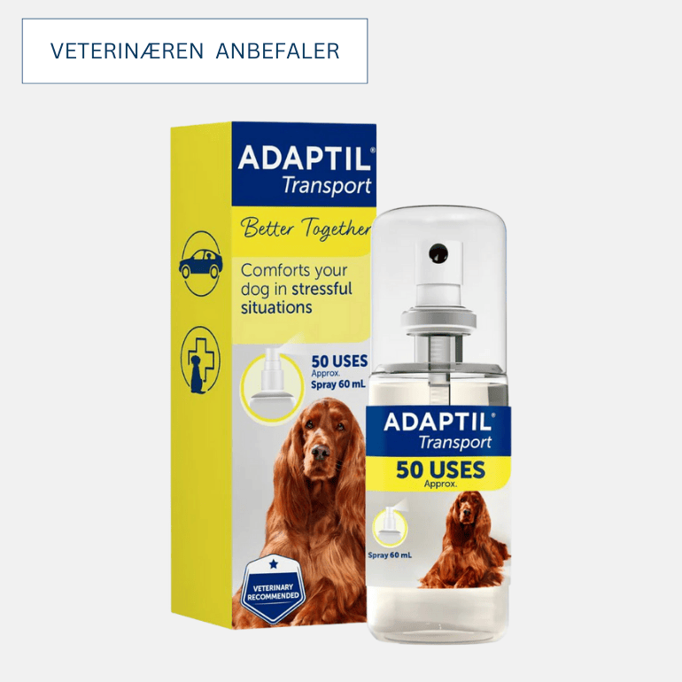 Produktbilde for Adaptil Transport Spray. Flasken plassert fremfor boksen.