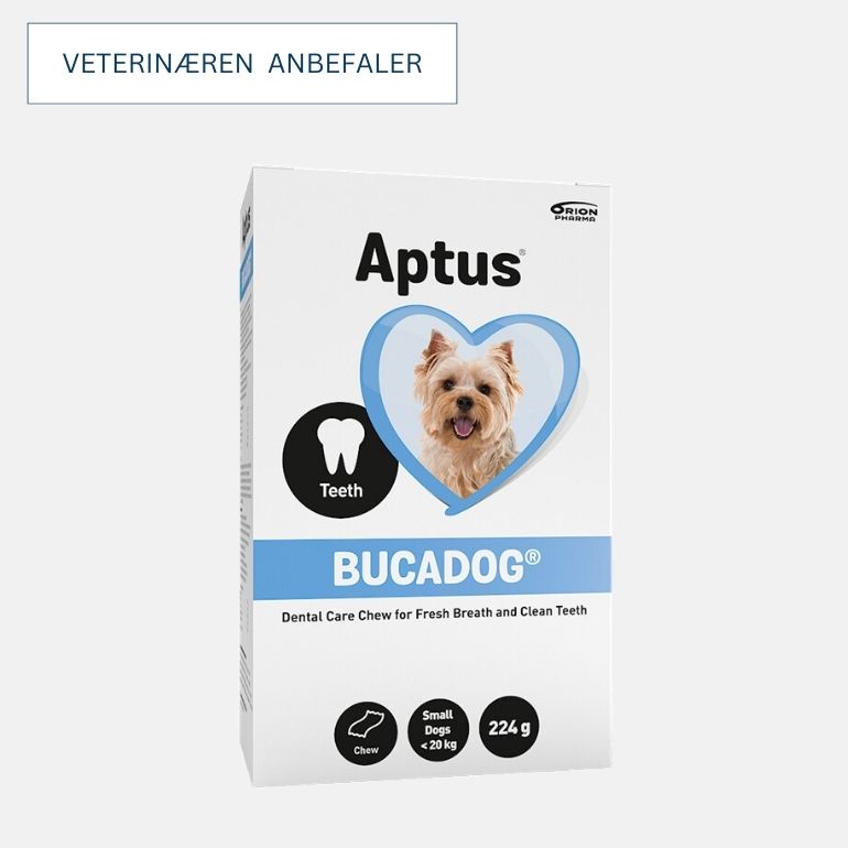Aptus Bucadog Tyggelapper