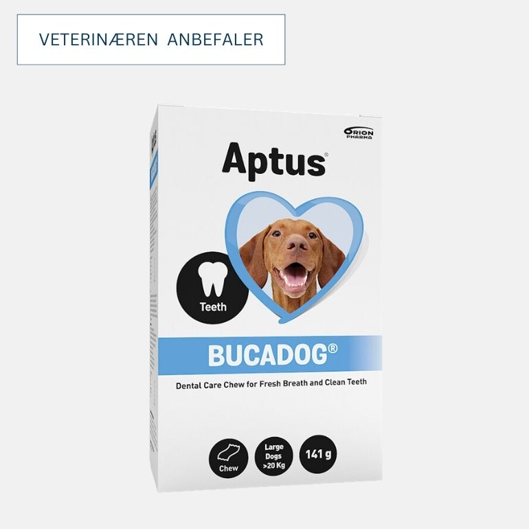 Produktbilde av boksen til Aptus Bucadog tyggelapper for store hunder.