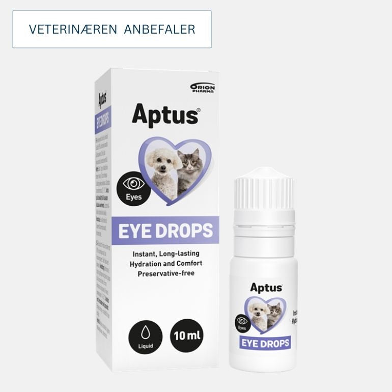 Aptus Eye Drops øyedråper forpakning.