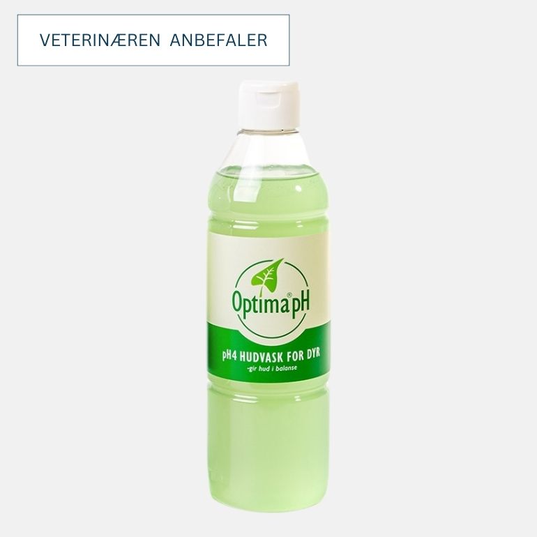 En flaske med Optima ph4 hudvask for dyr på grå bakgrunn.