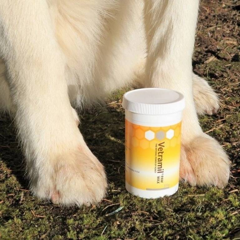 Bilde av en boks vetramil potevoks plassert fremfor potene til en hund.