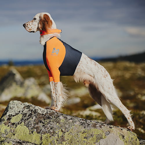 Protector t-shirt fra Non-Stop