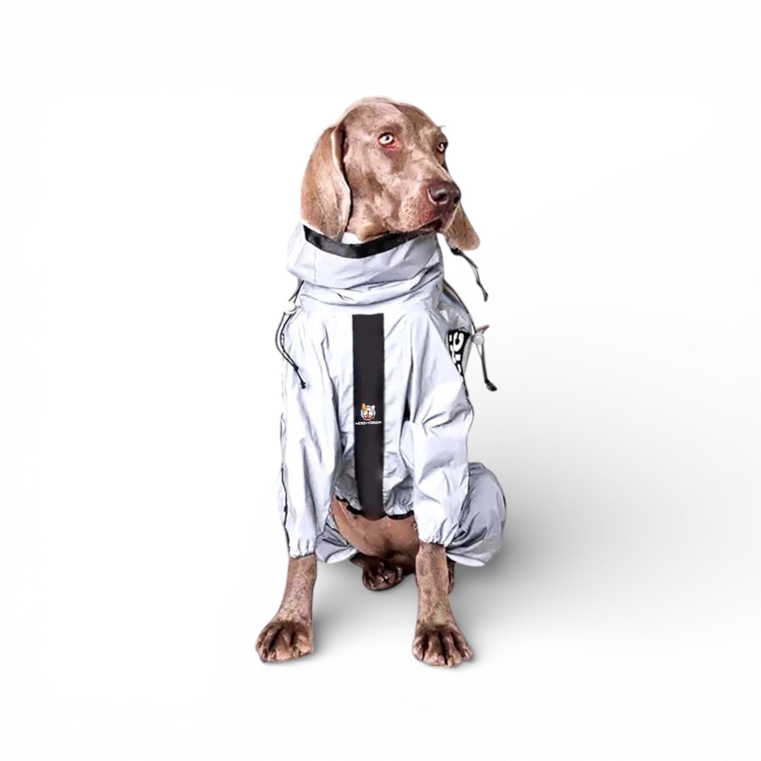 Regndress til hund med refleks i vanntett materiale