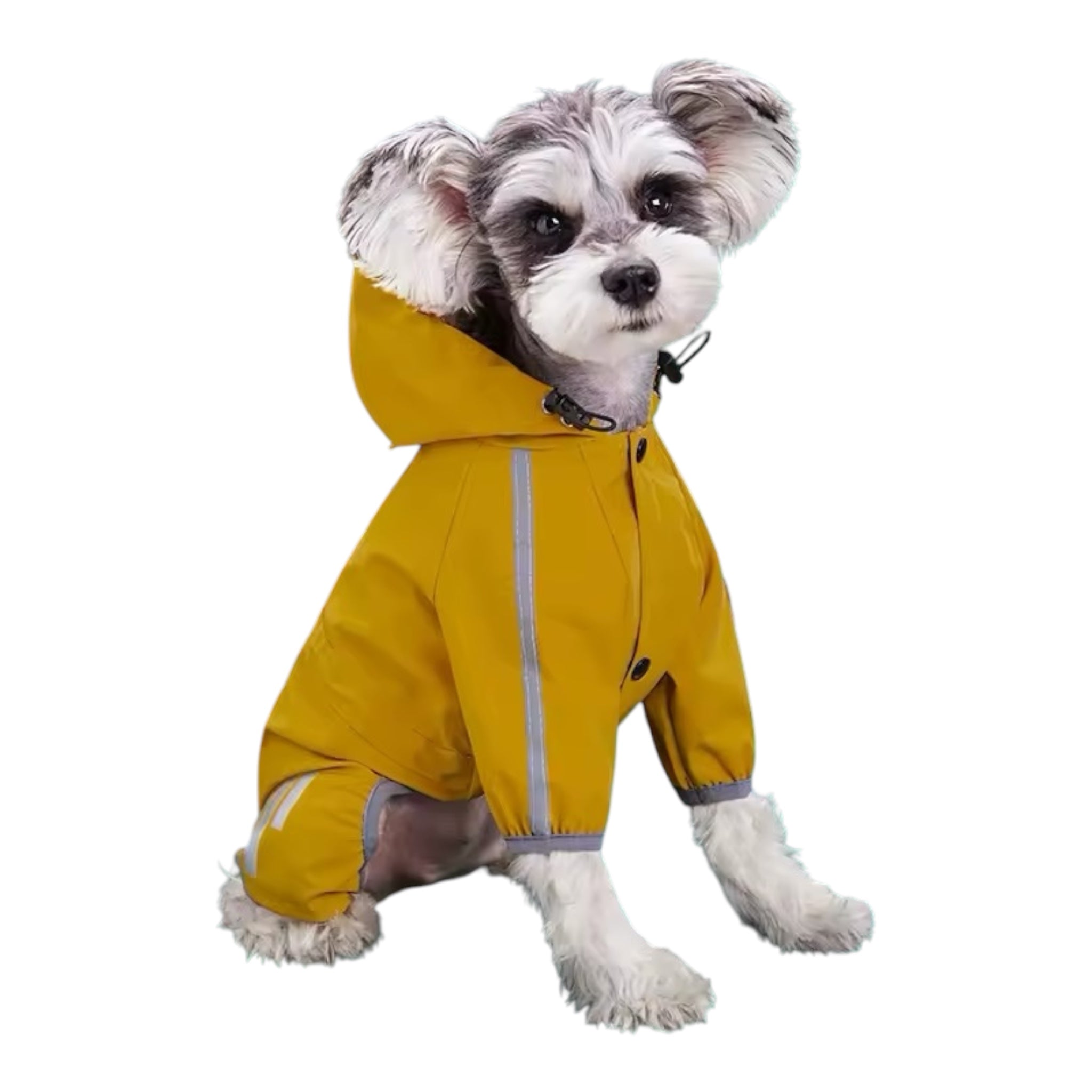 Regnjakke til hund med hette og refleks