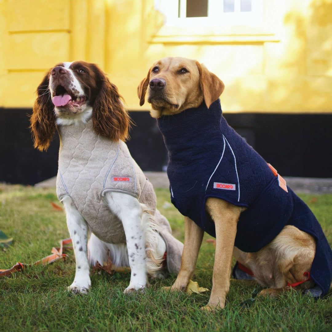 2 hunder som har på seg Siccaro Supreme 2.0