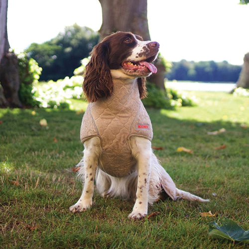 Tørkedekken til hund – SICCARO Supreme 2.0