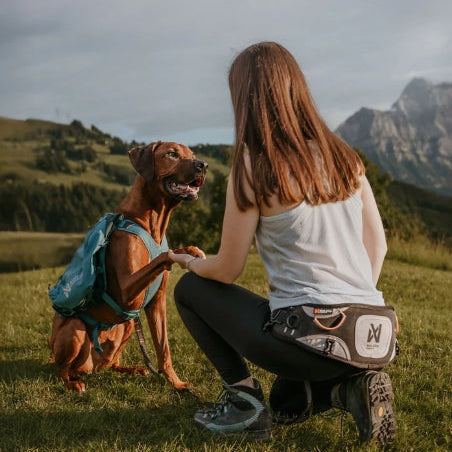 Non-Stop Dogwear Explore Belt – robust trekkbelte til hund
