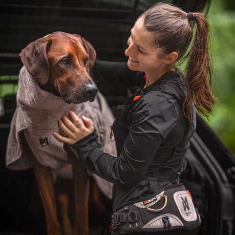 Non-Stop Dogwear Explore Belt – robust trekkbelte til hund