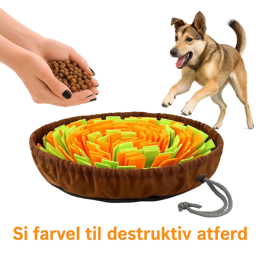 Snusematte til hund – aktivitetsmatte for mental stimulering
