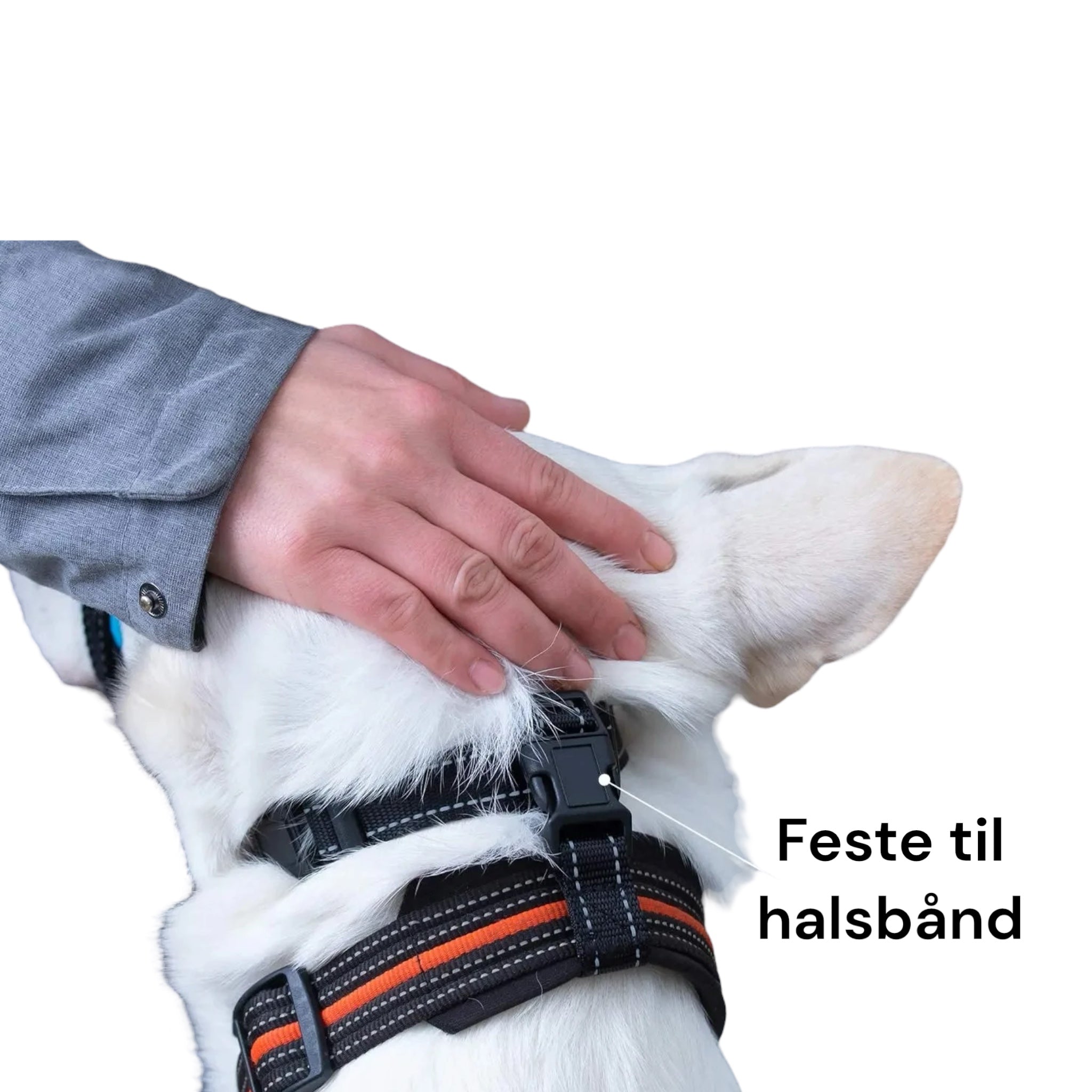 Snutesele til hund – justerbar grime for bedre kontroll