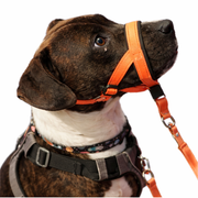 Snutesele til hund – justerbar grime for bedre kontroll