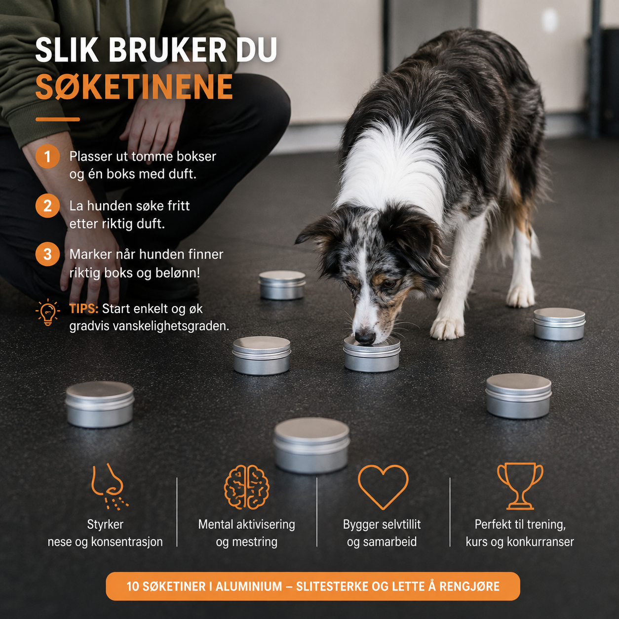 Nosework søketiner til trening hjemme, på hundekurs og til konkurransetrening