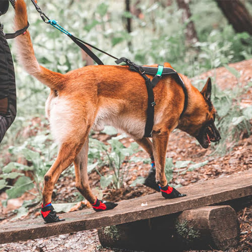 Solid Socks fra Non-Stop Ekstra Slitesterke