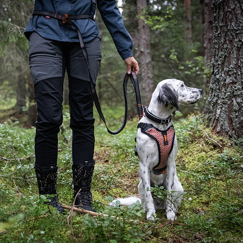 Touring Bungee adjustable – justerbart elastisk hundekobbel fra Non-Stop