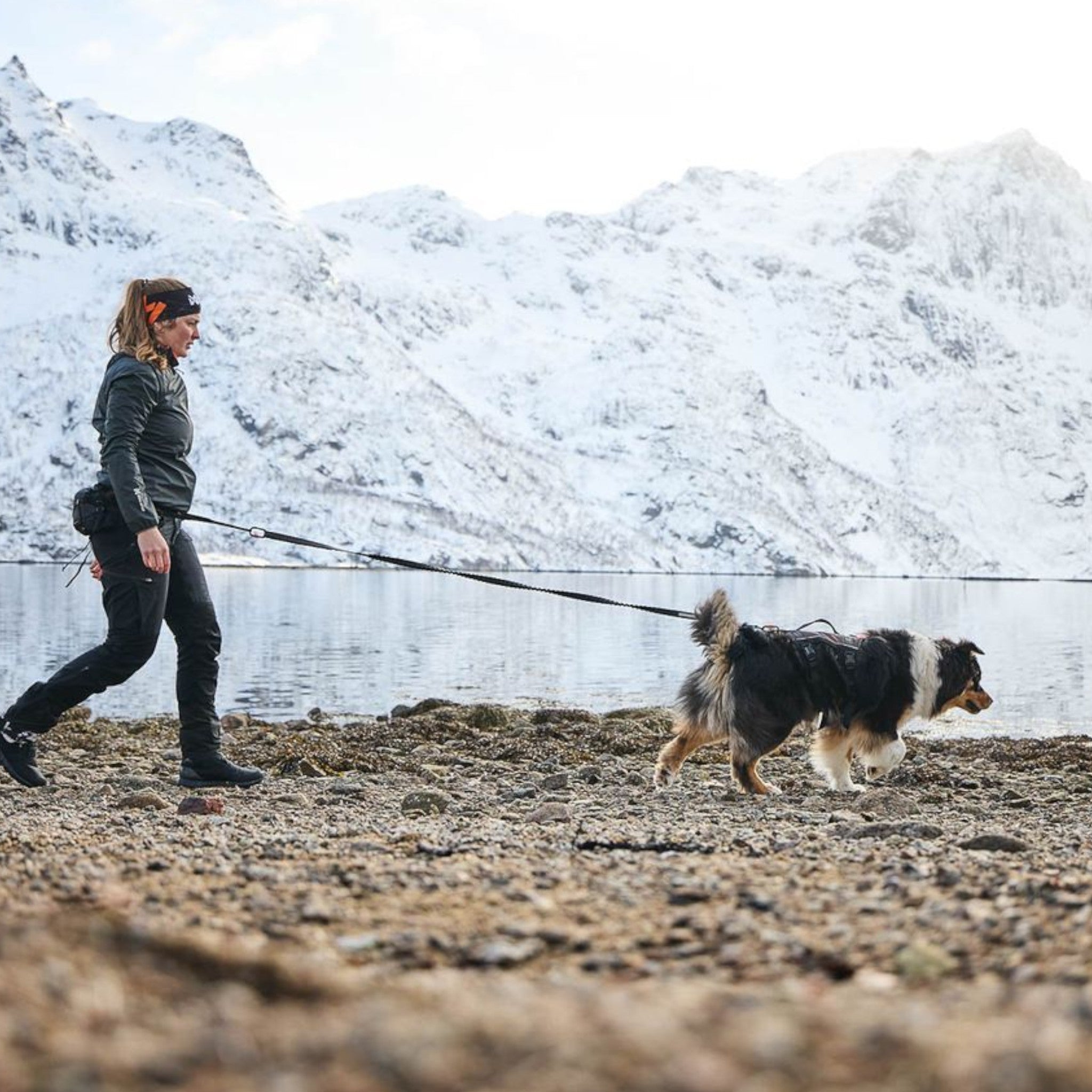 Non-stop Trail Light Belt – lett løpebelte til canicross