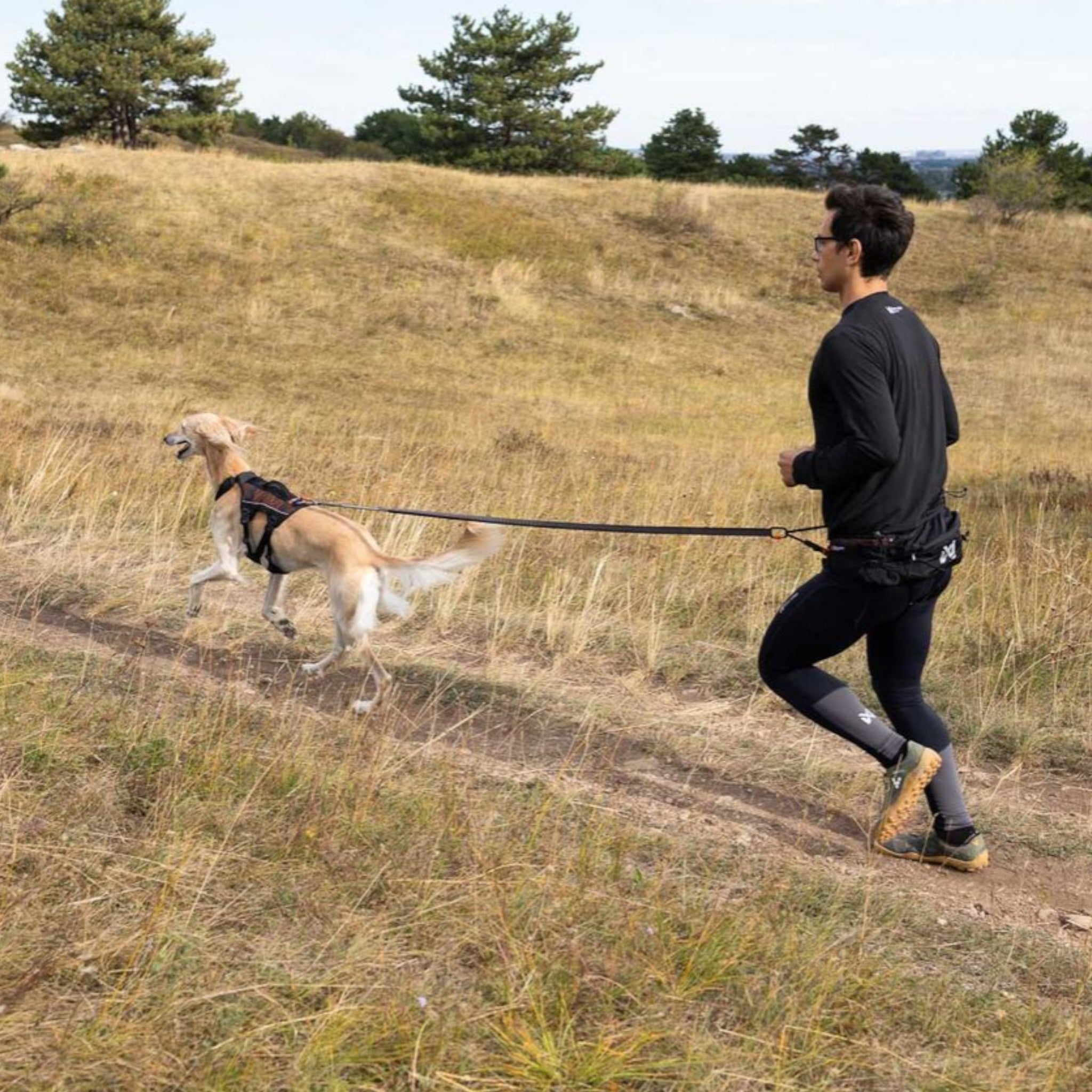 Non-stop Trail Light Belt – lett løpebelte til canicross