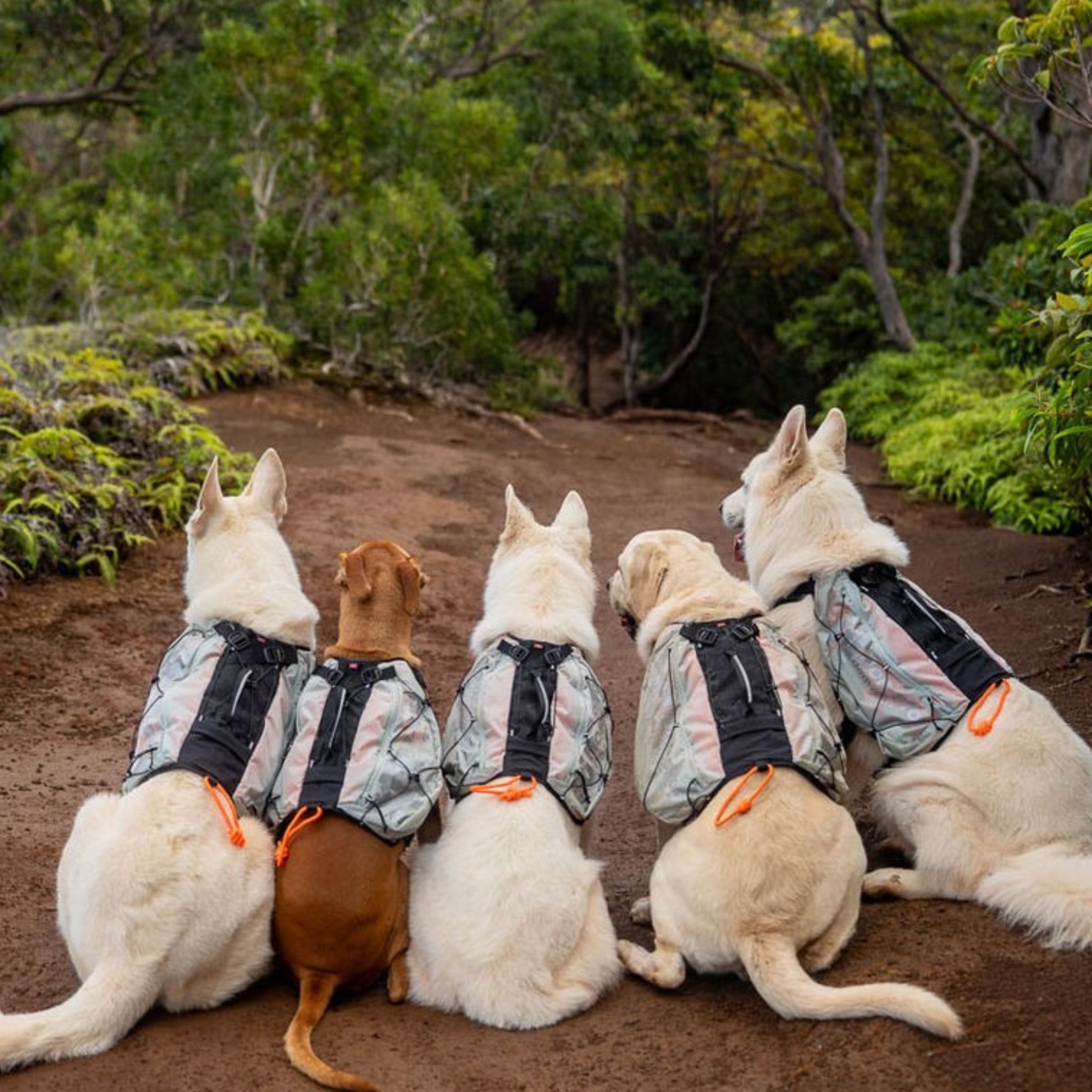 Non-Stop Dogwear Trail Light Backpack