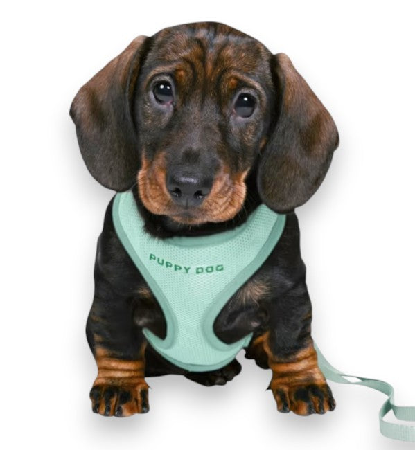 Trixie valpesele med kobbel – mint sele 26–34 cm