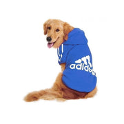 Adidog blå hettegenser til hund.