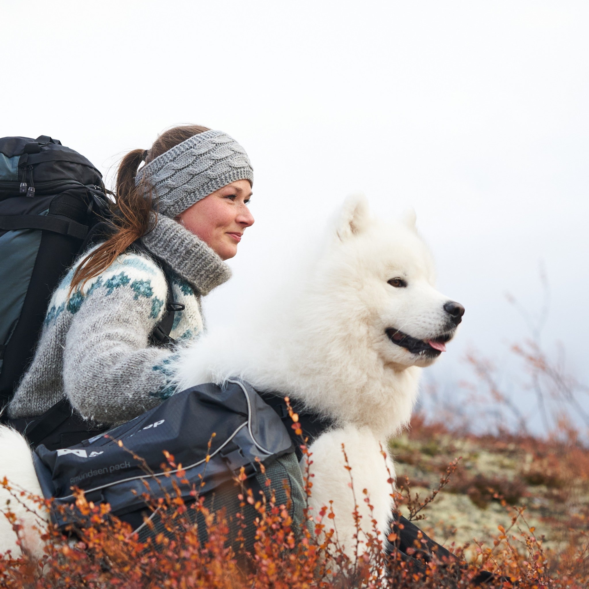 Non-Stop Dogwear Amundsen pack