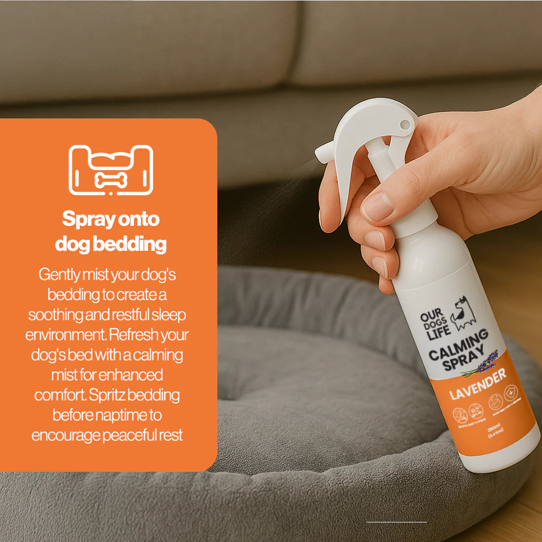 Beroligende spray til hund – Calming Spray med lavendel (250 ml)